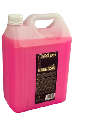 Femas Professional Frucht Shampoo 5 liter - Hairwaxshop